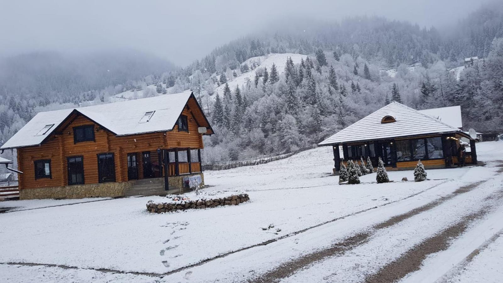 Casa Obcina Bucovinei Hotell Fundu Moldovei Exteriör bild