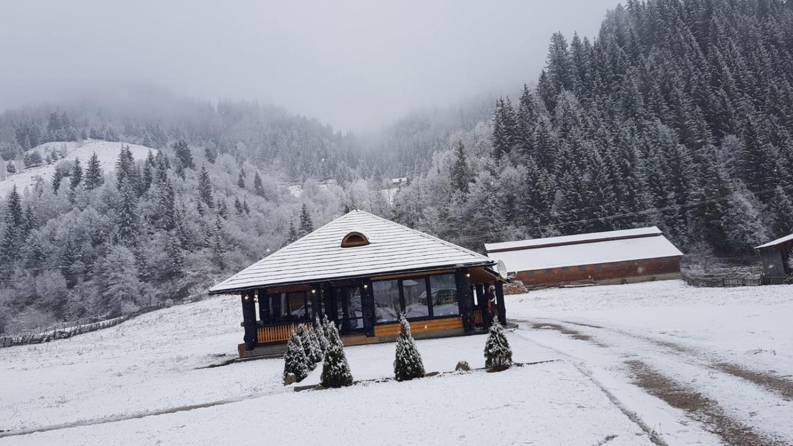 Casa Obcina Bucovinei Hotell Fundu Moldovei Exteriör bild